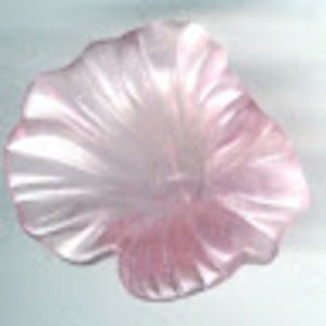 Meet your Posher, Amelia